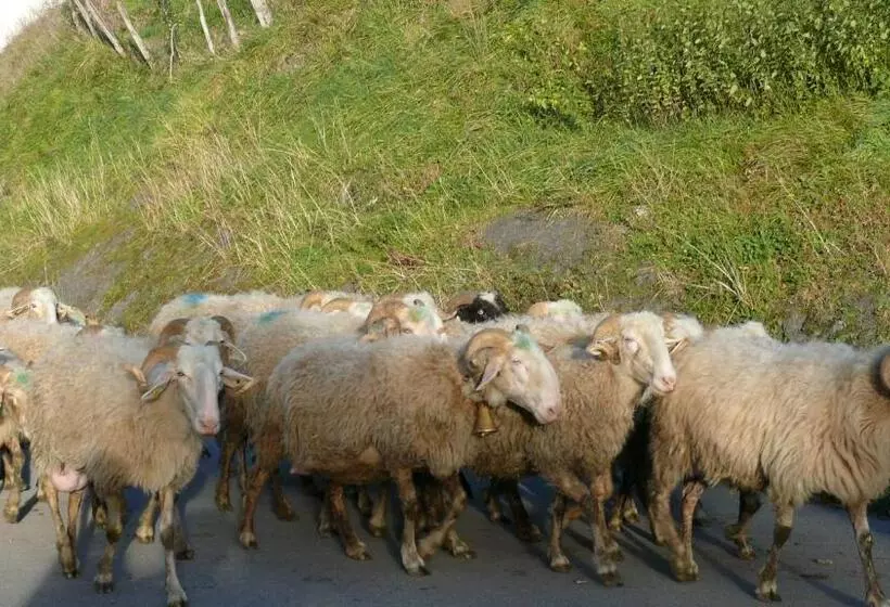 Aamiaismajoitus (B&B) Chambre Chez Sylvie