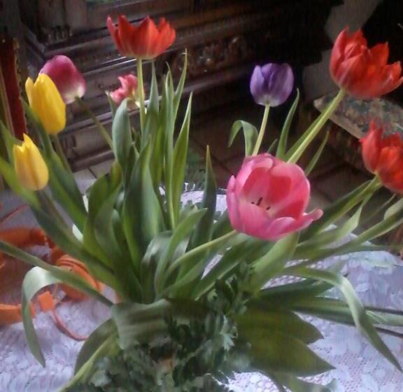 ベッドアンドブレックファースト Chambre Chez Sylvie