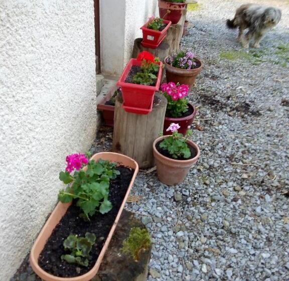 ベッドアンドブレックファースト Chambre Chez Sylvie