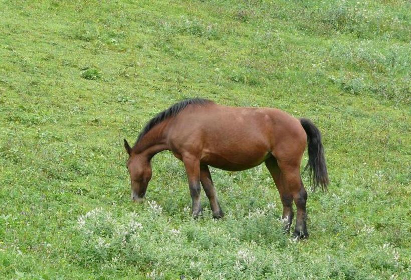 ベッドアンドブレックファースト Chambre Chez Sylvie