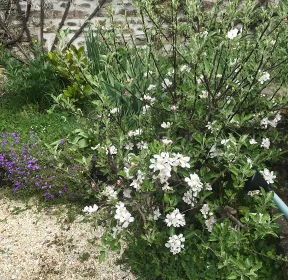 ベッドアンドブレックファースト La Chambre Des Tisserands