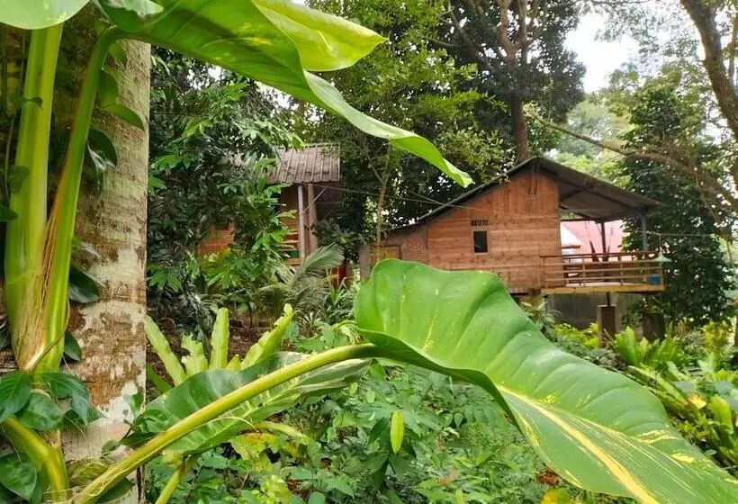 Hotelli Santi Garden Bungalows