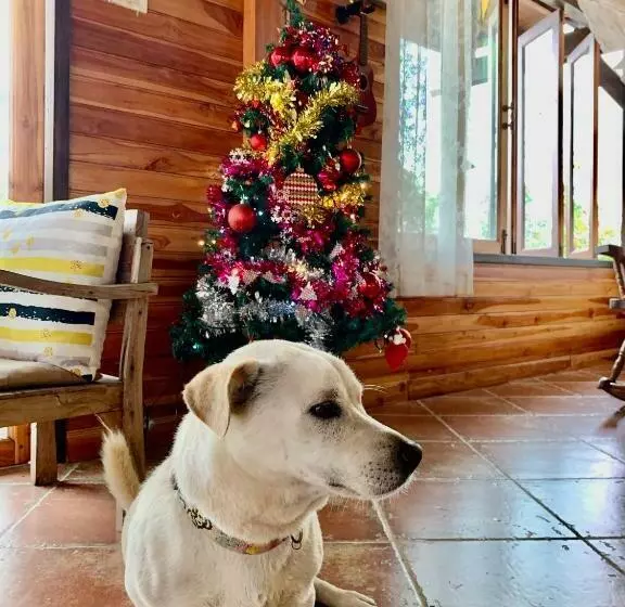 Majatalo Rang Robin Farmstay With Swimming Pool