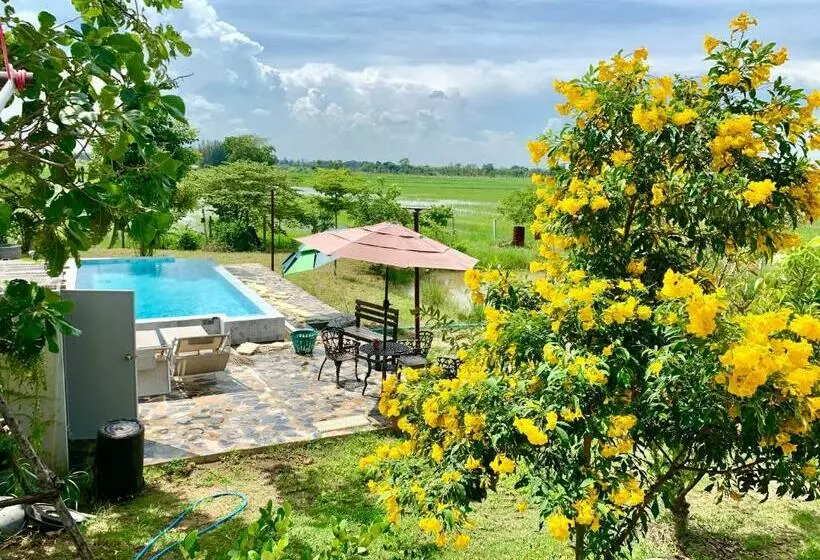 Majatalo Rang Robin Farmstay With Swimming Pool