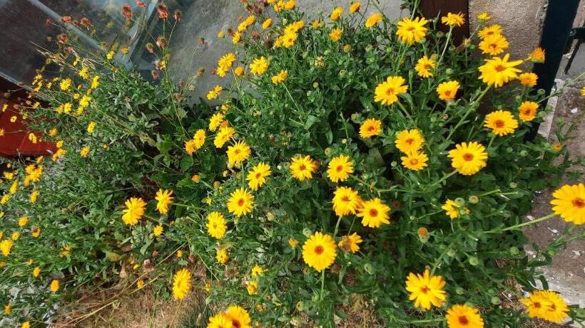 Bed & Breakfast Chambres D Hôtes Au Pays Des Etangs