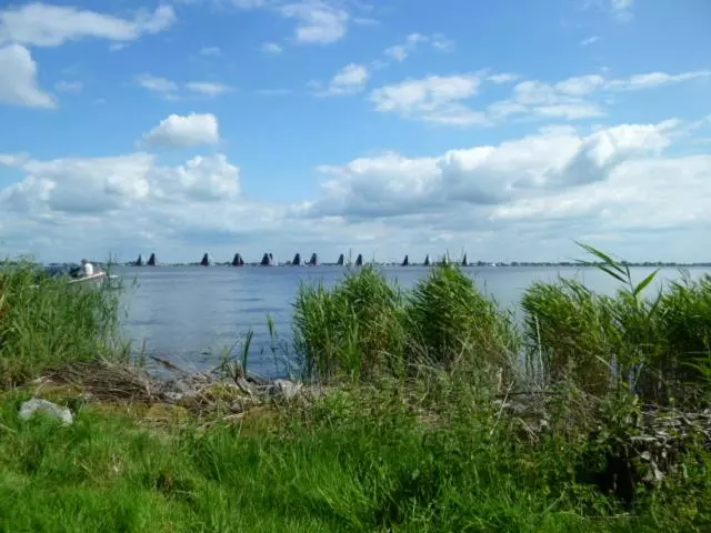 ベッドアンドブレックファースト De Wylgepleats