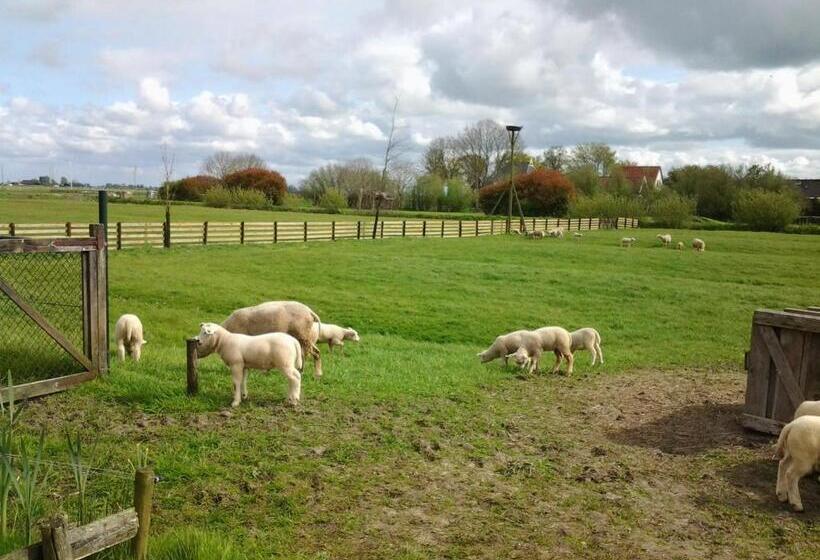 צימר De Wylgepleats