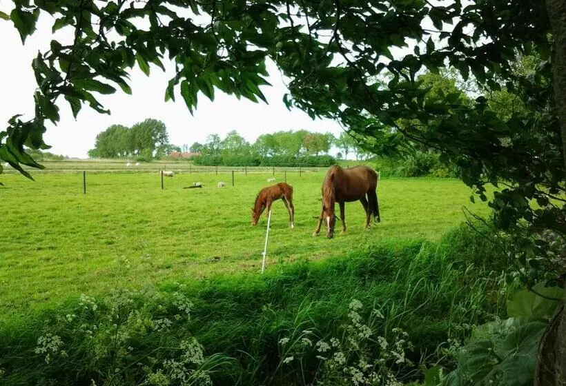 ベッドアンドブレックファースト De Wylgepleats