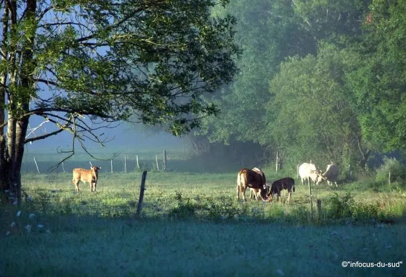 Aamiaismajoitus (B&B) Infocus Du Sud