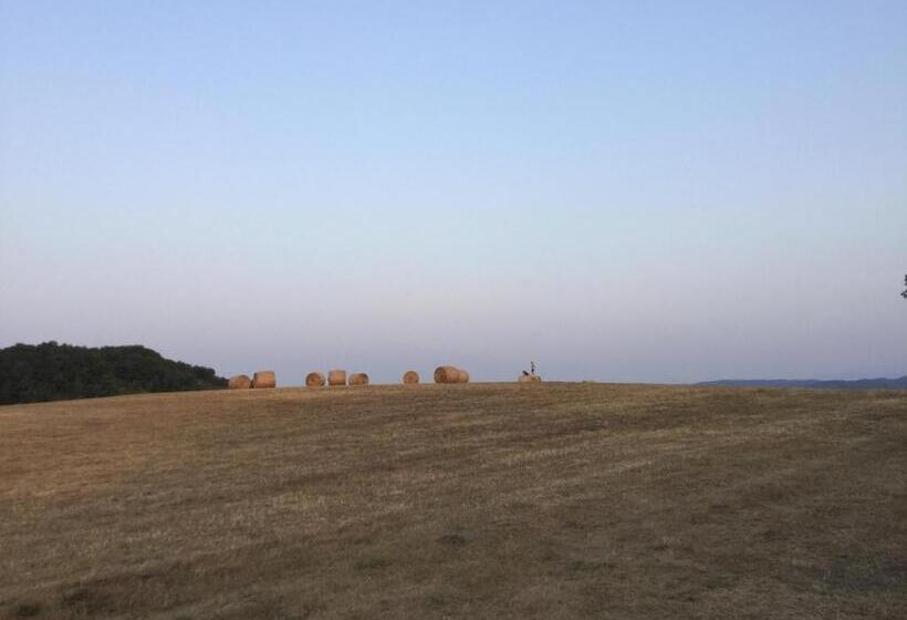 تختخواب و صبحانه Infocus Du Sud