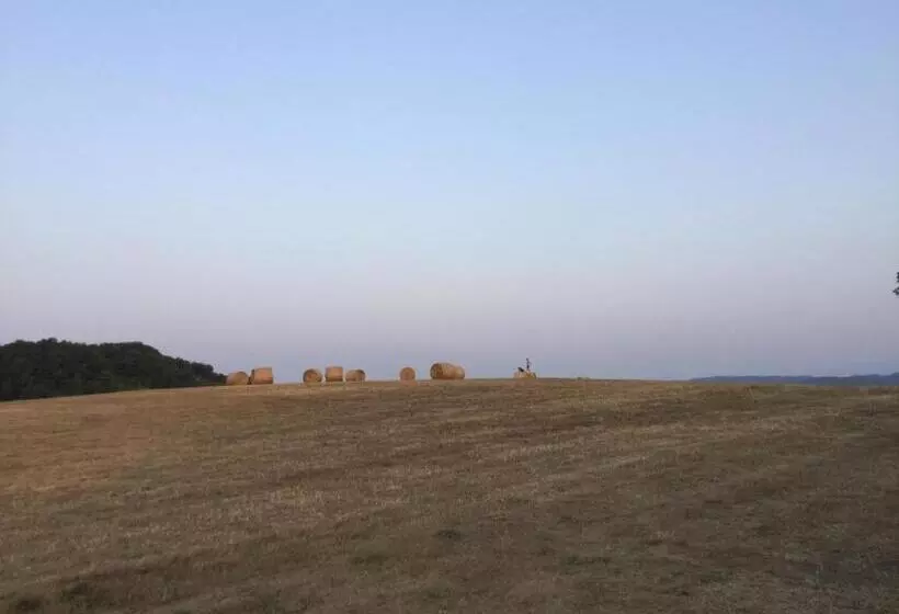 Aamiaismajoitus (B&B) Infocus Du Sud