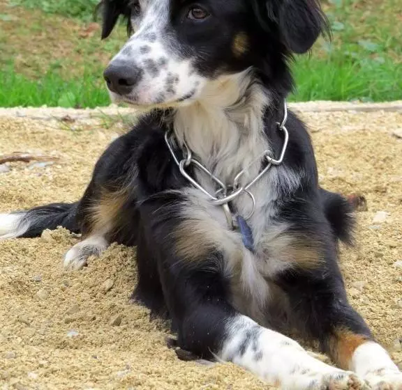 Aamiaismajoitus (B&B) Infocus Du Sud