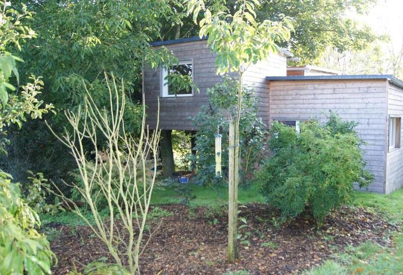 ベッドアンドブレックファースト La Cabane De Denier