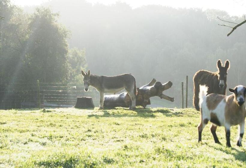 ベッドアンドブレックファースト La Cabane De Denier