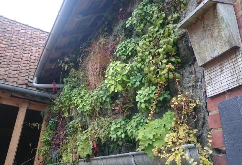 ベッドアンドブレックファースト La Cabane De Denier