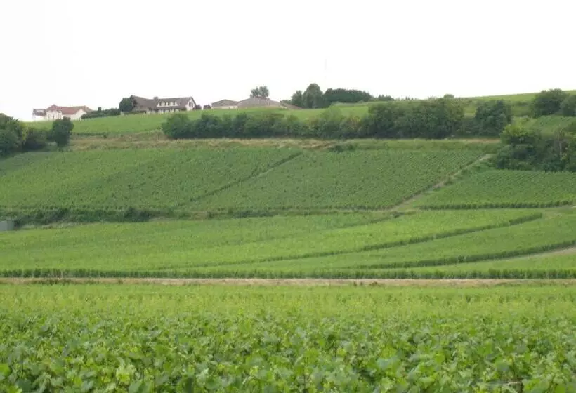 ベッドアンドブレックファースト La Chambre D Amis La Costignieres