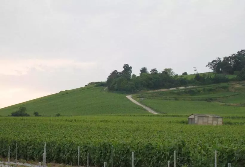 ベッドアンドブレックファースト La Chambre D Amis La Costignieres