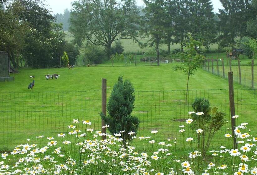 Bed and Breakfast La Jolimessine