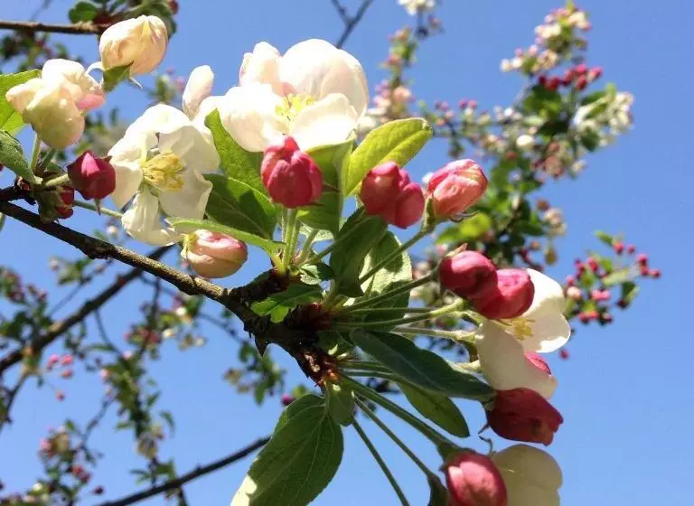 ベッドアンドブレックファースト Le Manoir Du Pont Senot