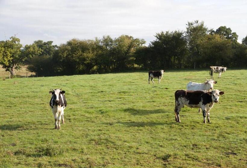 צימר Le Manoir Du Pont Senot