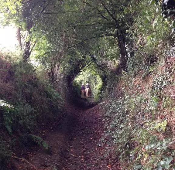 ベッドアンドブレックファースト Le Manoir Du Pont Senot