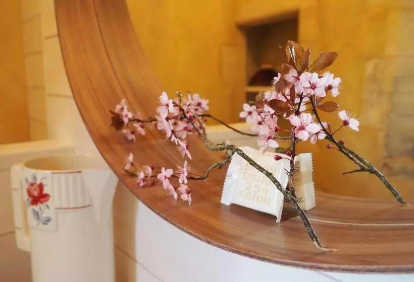 ベッドアンドブレックファースト Le Manoir Du Pont Senot