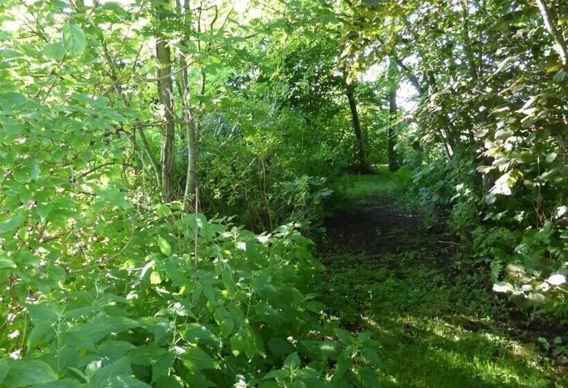 Bed and Breakfast Logeren Bij De Ruimte