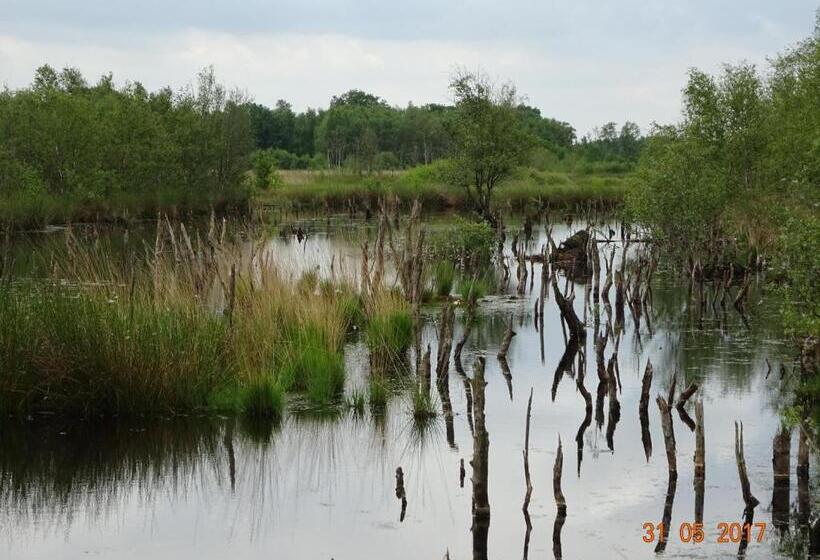 مبيت وإفطار Stichting Veenloopcentrum Weiteveen