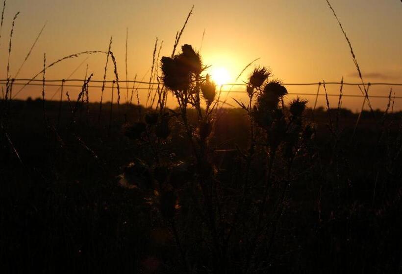 مبيت وإفطار Stichting Veenloopcentrum Weiteveen