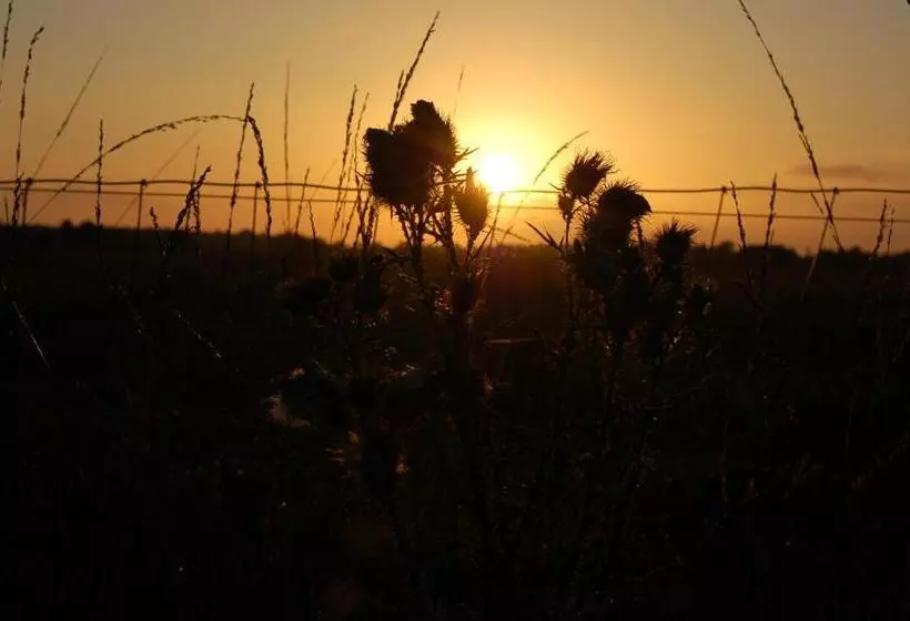 ベッドアンドブレックファースト Stichting Veenloopcentrum Weiteveen
