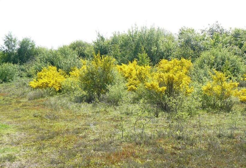 مبيت وإفطار Stichting Veenloopcentrum Weiteveen