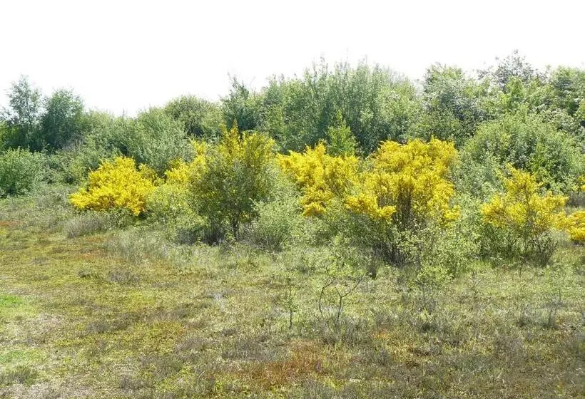 ベッドアンドブレックファースト Stichting Veenloopcentrum Weiteveen