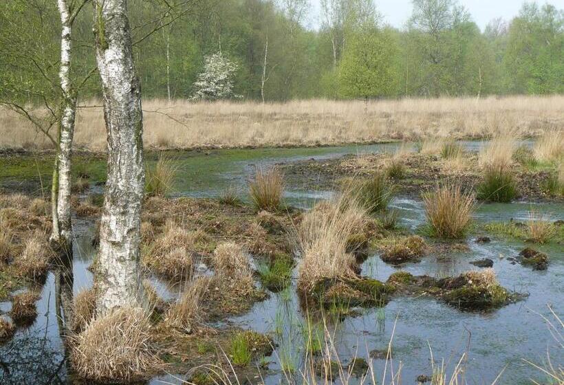 مبيت وإفطار Stichting Veenloopcentrum Weiteveen