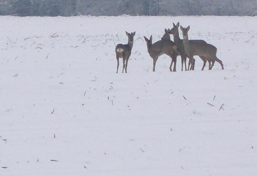 مبيت وإفطار Stichting Veenloopcentrum Weiteveen