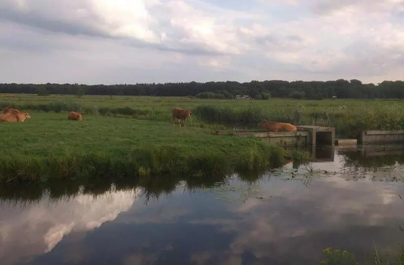 Bed & Breakfast Glimmen