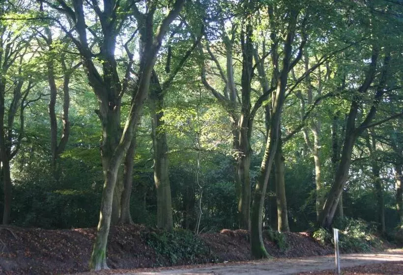 Bed & Breakfast Glimmen