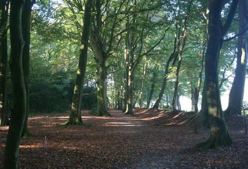 Bed & Breakfast Glimmen