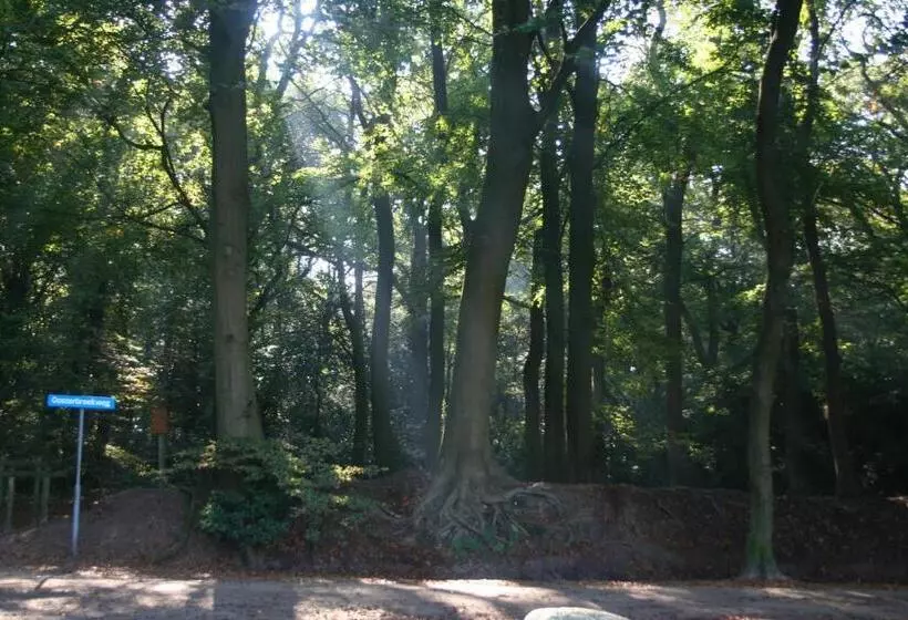 Bed & Breakfast Glimmen