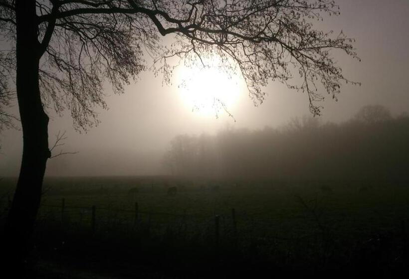 Bed & Breakfast Glimmen