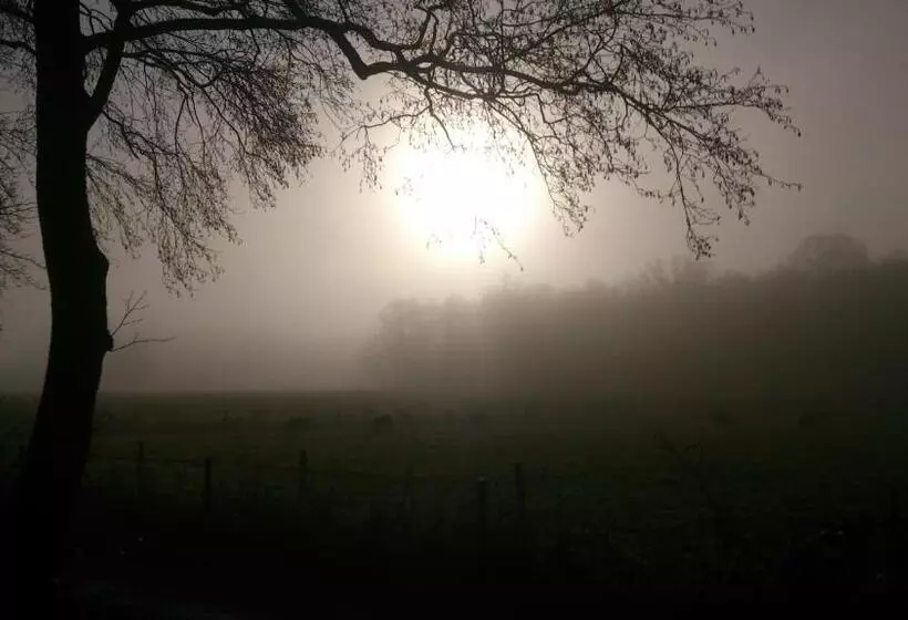 Bed & Breakfast Glimmen