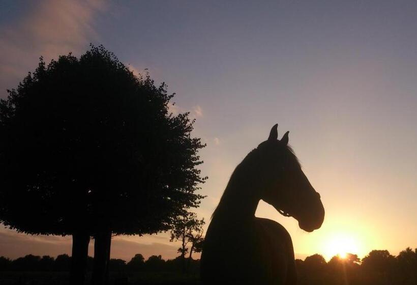 Bed & Breakfast Glimmen