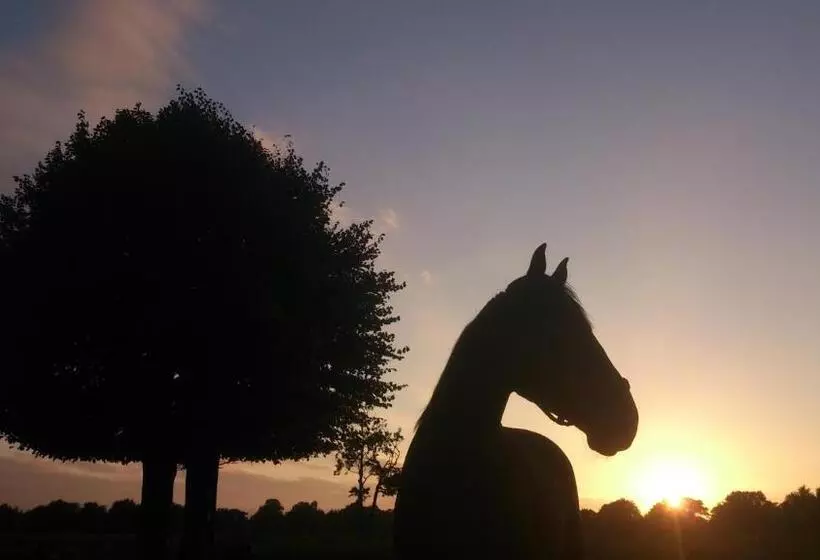 Bed & Breakfast Glimmen