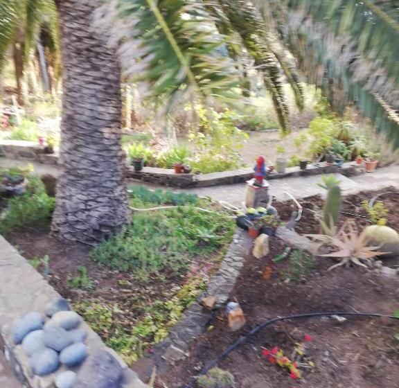 בית מלון כפרי Casa Majores