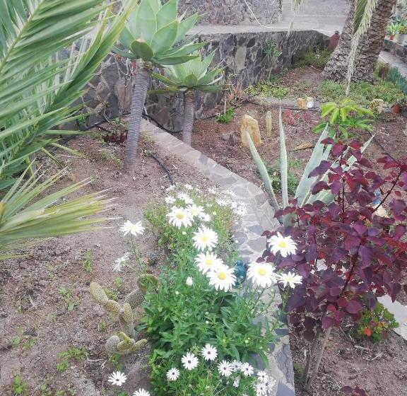 בית מלון כפרי Casa Majores