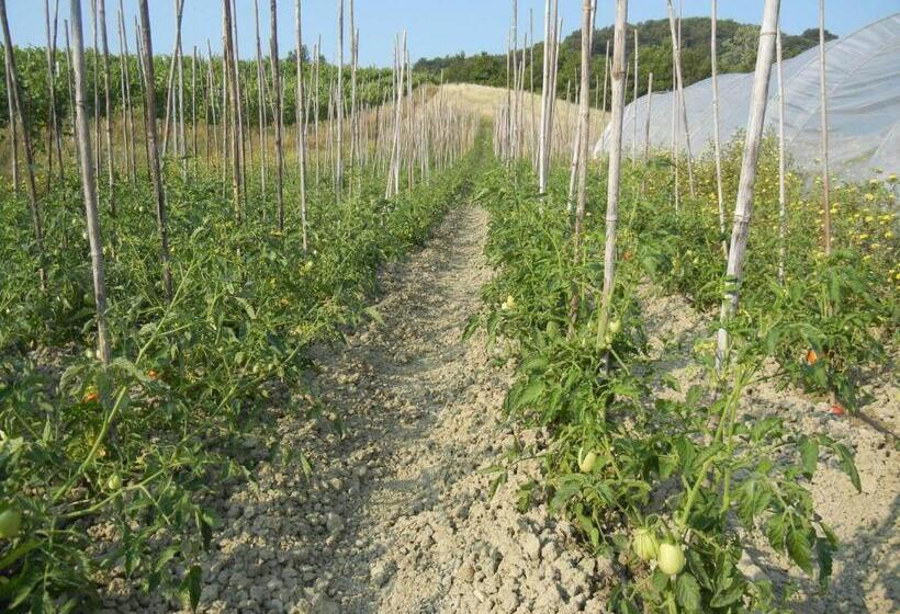 فندق La Colombarola