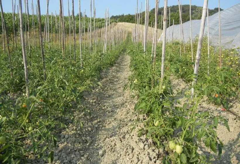 ホテル La Colombarola