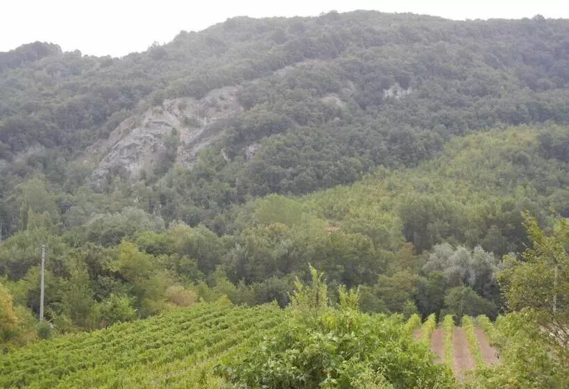 ホテル La Colombarola