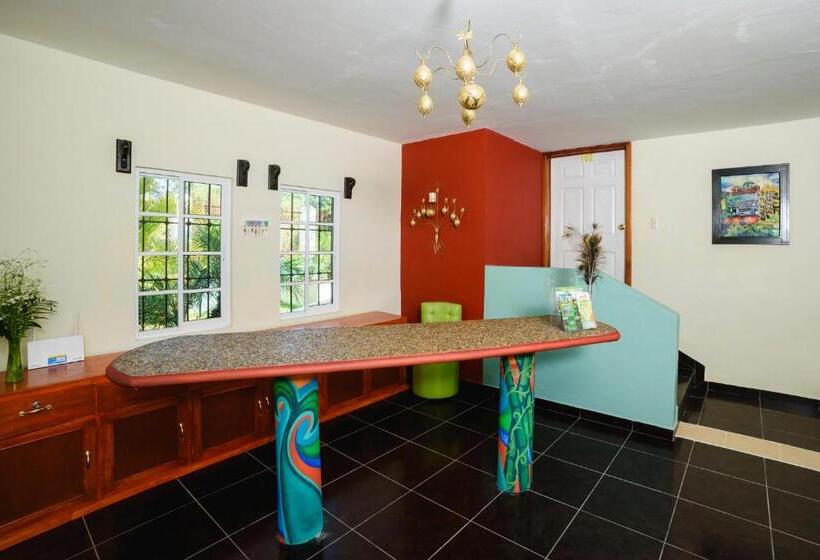 فندق Mirador Del Castillo