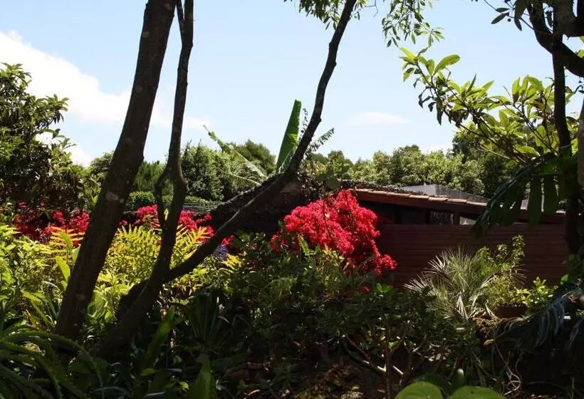 ホテル Quinta De São Caetano   São Miguel Açores