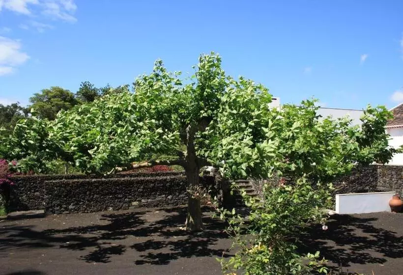 ホテル Quinta De São Caetano   São Miguel Açores